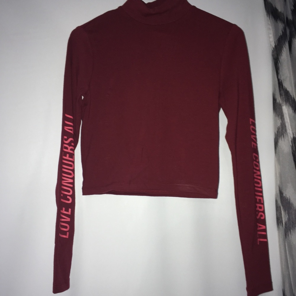 Turtleneck like crop top with long sleeves